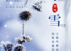 【H5】传统二十四节气之——小雪